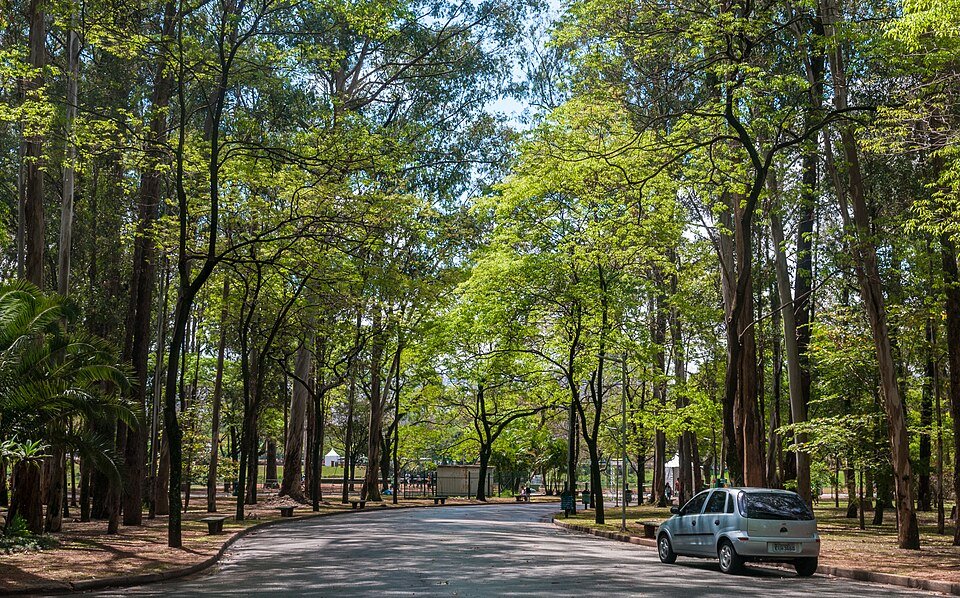 locação de caçamba em Ibirapuera